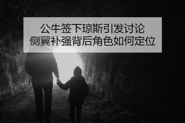 公牛签下琼斯引发讨论 侧翼补强背后角色如何定位